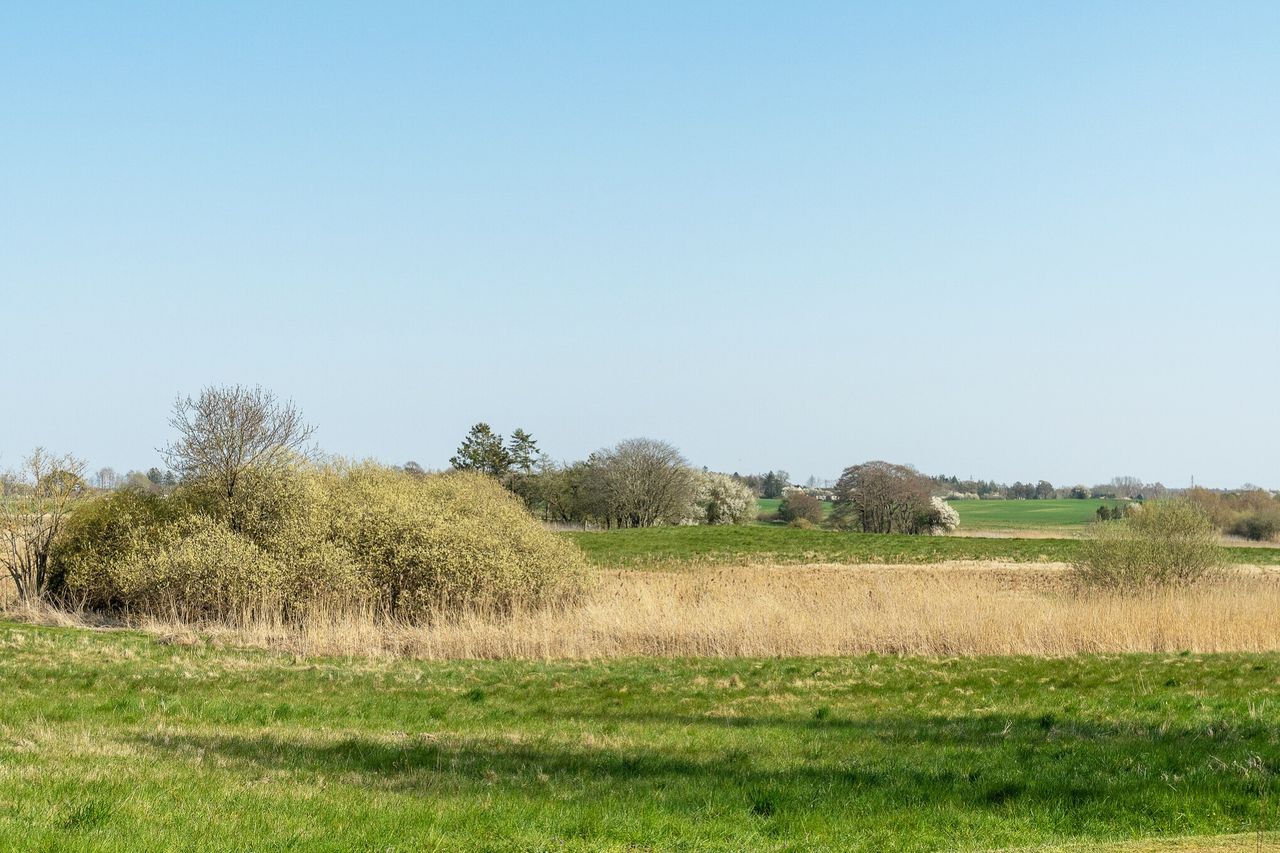 image 03
